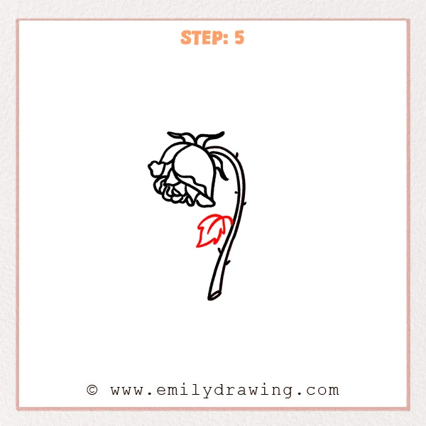how to draw a dead rose - Step 5 of how to draw a dead rose adds a drooping leaf on the stem with a center vein and a few short side veins.
